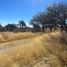  Land for sale in Aguascalientes, Aguascalientes, Aguascalientes, Aguascalientes