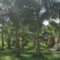 Terrain à vendre à Cancun, Quintana Roo, Cancun