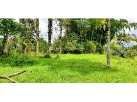  Land for sale in Pereira, Risaralda, Pereira