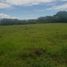  Land for sale in Rivera, Huila, Rivera