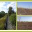  Land for sale in Tenabo, Campeche, Tenabo