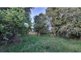  Land for sale in Los Andes, Valparaiso, Calle Larga, Los Andes
