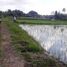  Land for sale in Sukawati, Gianyar, Sukawati