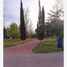  Land for sale in Torreon, Coahuila, Torreon, Coahuila