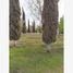  Land for sale in Torreon, Coahuila, Torreon, Coahuila