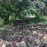  Land for sale in Compostela, Nayarit, Compostela