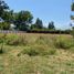  Land for sale in Chile, Paine, Maipo, Santiago, Chile