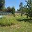  Land for sale in Chile, Paine, Maipo, Santiago, Chile