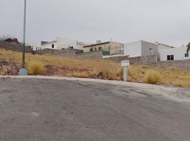  Grundstück zu verkaufen in Aquiles Serdan, Chihuahua, Aquiles Serdan, Chihuahua
