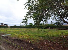  Land for sale in Quindio, Calarca, Quindio