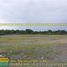 Land for sale in Luna, Ilocos, Luna