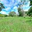  Land for sale in David, Chiriqui, Chiriqui, David