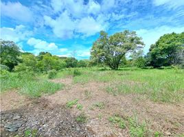  Land for sale in David, Chiriqui, Chiriqui, David