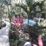  Terreno (Parcela) en venta en Cozumel, Quintana Roo, Cozumel