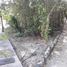  Terreno (Parcela) en venta en Cozumel, Quintana Roo, Cozumel