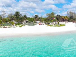 Grundstück zu verkaufen in Cozumel, Quintana Roo, Cozumel