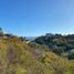  Land for sale in Manzanillo, Colima, Manzanillo