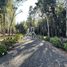 Land for sale in Chile, Villarrica, Cautin, Araucania, Chile