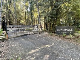  Land for sale in Chile, Villarrica, Cautin, Araucania, Chile