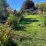  Land for sale in Chile, Osorno, Osorno, Los Lagos, Chile
