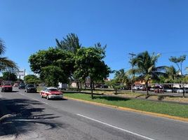 Estudio Villa en alquiler en Veracruz, Veracruz, Veracruz, Veracruz