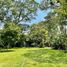  Land for sale in Tepoztlan, Morelos, Tepoztlan
