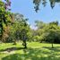  Land for sale in Tepoztlan, Morelos, Tepoztlan