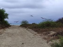  Terreno (Parcela) en venta en Crucita, Portoviejo, Crucita