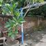  Casa en venta en Sidoarjo, East Jawa, Sidoarjo, Sidoarjo