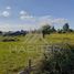  Terreno (Parcela) en venta en Maule, Sagrada Familia, Curicó, Maule