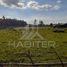  Terreno (Parcela) en venta en Maule, Sagrada Familia, Curicó, Maule