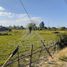  Terreno (Parcela) en venta en Maule, Sagrada Familia, Curicó, Maule