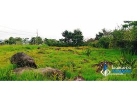  Terreno (Parcela) en venta en Bugaba, Chiriquí, Volcán, Bugaba