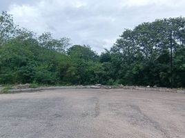  Grundstück zu verkaufen in Conkal, Yucatan, Conkal