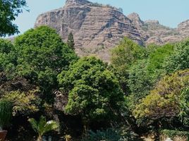  Grundstück zu verkaufen in Tepoztlan, Morelos, Tepoztlan, Morelos