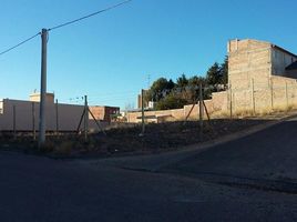  Land for sale in Confluencia, Neuquen, Confluencia