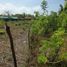  Land for sale in Bangar, Ilocos, Bangar