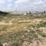  Land for sale in Ernesto Cortissoz International Airport, Soledad, Soledad