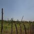  Land for sale in Soledad, Atlantico, Soledad