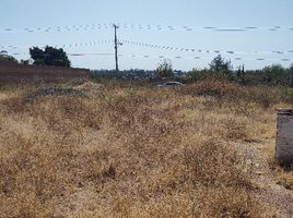  Land for sale in Silao, Guanajuato, Silao