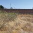  Land for sale in Silao, Guanajuato, Silao
