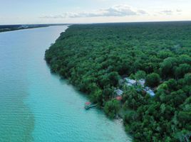  Grundstück zu verkaufen in Othon P Blanco, Quintana Roo, Othon P Blanco
