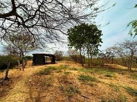  Land for sale in Tubara, Atlantico, Tubara