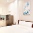 1 Bedroom Apartment for rent in My An, Da Nang, My An, Ngu Hanh Son
