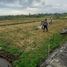  Terrain for sale in Ginyar, Gianyar, Ginyar