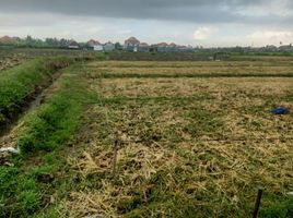  Terrain for sale in Ginyar, Gianyar, Ginyar