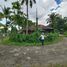  Land for sale in Pavia, Iloilo, Pavia