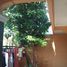 3 Bedroom House for sale in Sawangan, West Jawa, Sawangan