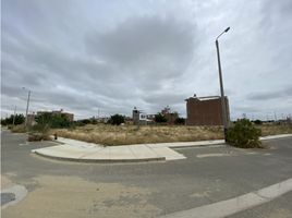 Terrain à vendre à Castilla, Piura, Castilla, Piura, Piura, Pérou