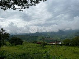  Land for sale in Caldas, Manizales, Caldas